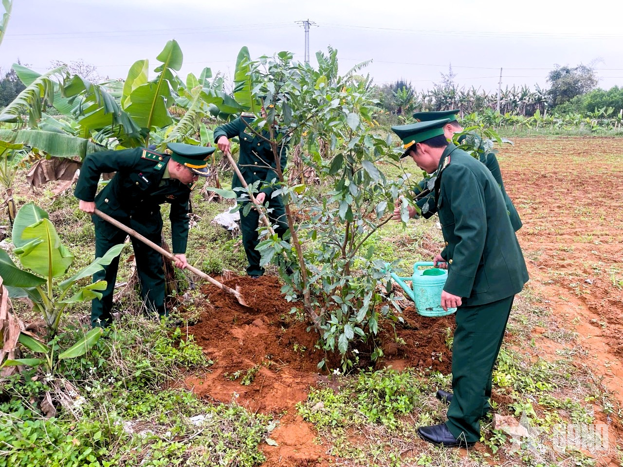 Các đơn vị Bộ đội Biên phòng tỉnh Nghệ An hưởng ứng Tết trồng cây “Đời đời nhớ ơn Bác Hồ” Xuân Ất Tỵ 2025
